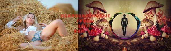таблы Аркадак