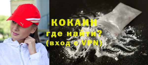 гашик Няндома