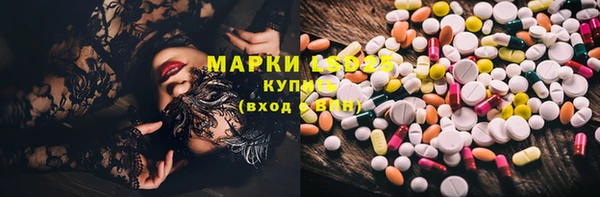 прущая мука Арсеньев