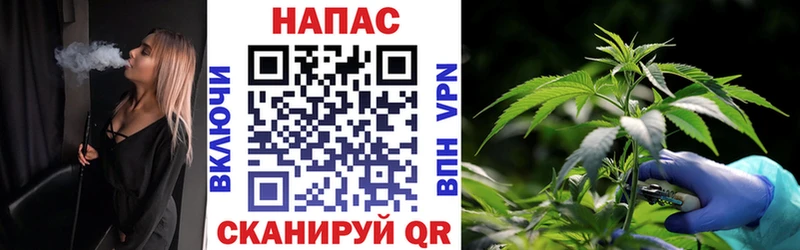 дарк нет какой сайт  Курганинск  Канабис SATIVA & INDICA 